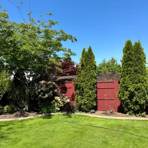 Best Backyard Fence Painters in Burnaby scaled