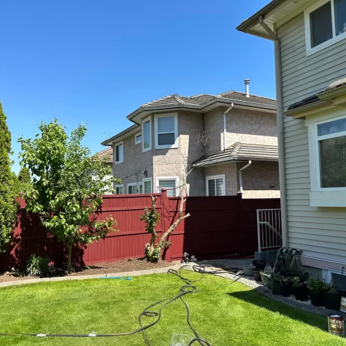 Reliable Backyard Fence Painters in Vancouver scaled
